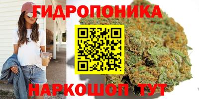 твердый Ставрополь